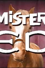 Mister Ed (Mister Ed)