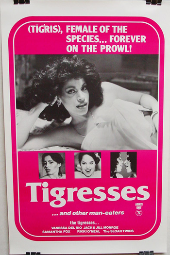 Poster de Filme Tigresses (1979)