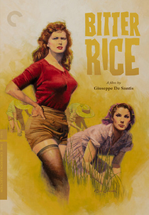 Arroz Amargo (Riso Amaro)