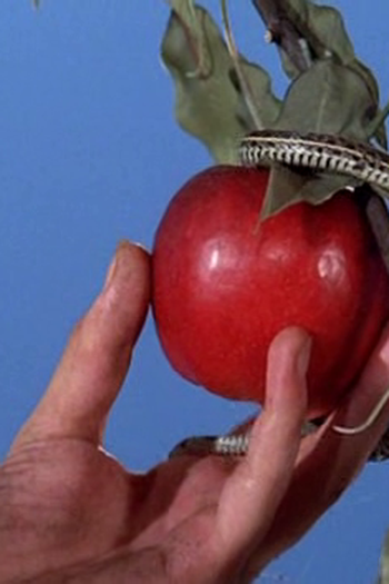  de Curta Gula (1986)