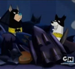Bat Hound for a Day