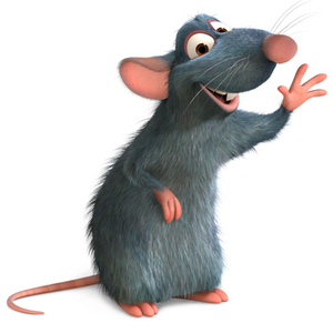 Foto de perfil de Remy