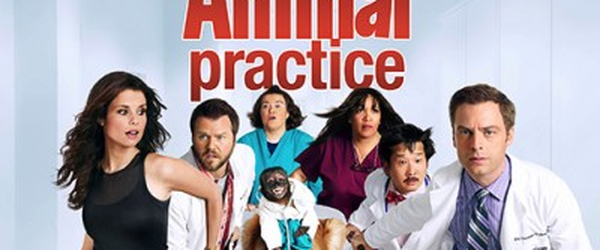 Série de comédia Animal Practice é cancelada – Pipoca Moderna