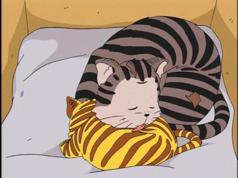 Foto 1 de Torajima no Miime