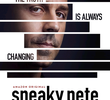 Sneaky Pete (1ª Temporada)