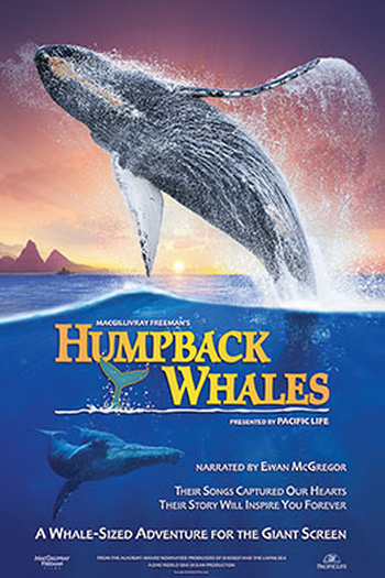 Poster de Curta Humpback Whales (2015)