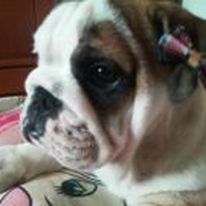 Foto de perfil de Maya Kiara