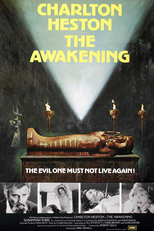 Reencarnação (The Awakening)