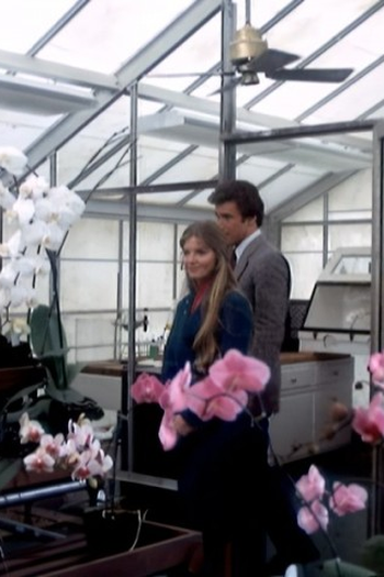 Poster de Episódio Before I Die (1981)