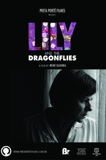 Poster de Filme Lili e as Libélulas (2014)