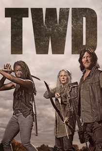 The Walking Dead (10ª Temporada) - Poster / Capa / Cartaz - Oficial 5