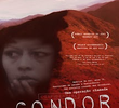 Condor