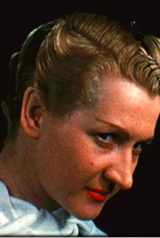 Poster 1 de Curta As Elegias do Kodachrome (2017)