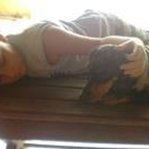 Foto de perfil de André Lima Filho