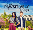 Mr. Pawsitively Perfect