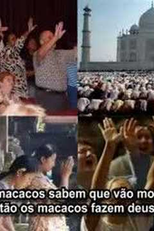 Dancem, Macacos, Dancem (Dance, Monkeys, Dance)