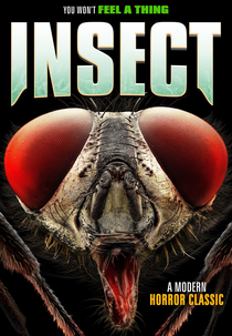 Insect (Insect)
