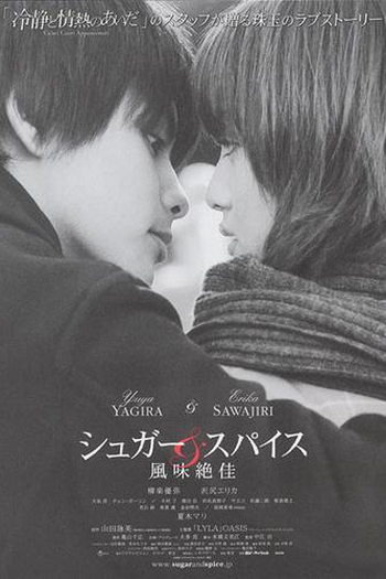 Poster de Filme Sugar & Spice (2006)