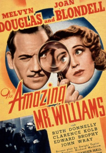 Amor a Prestações (The Amazing Mr. Williams)