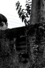 O Muro (O Muro)