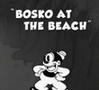 Bosko at the Beach