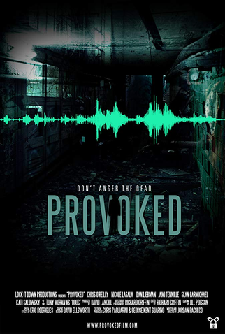 Poster 1 de Filme Provoked (2016)