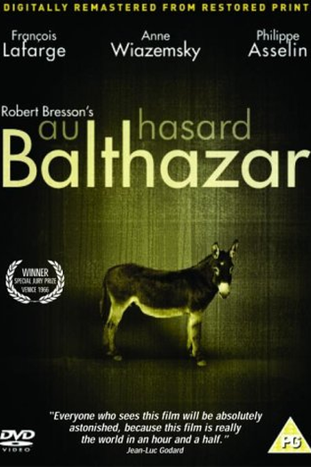  de Filme A Grande Testemunha (1966)