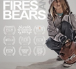 Liars, Fires and Bears