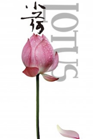 Poster 1 de Filme Lotus (2012)