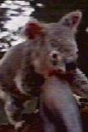 Poster de Episódio The Scarlet Koala (1994)