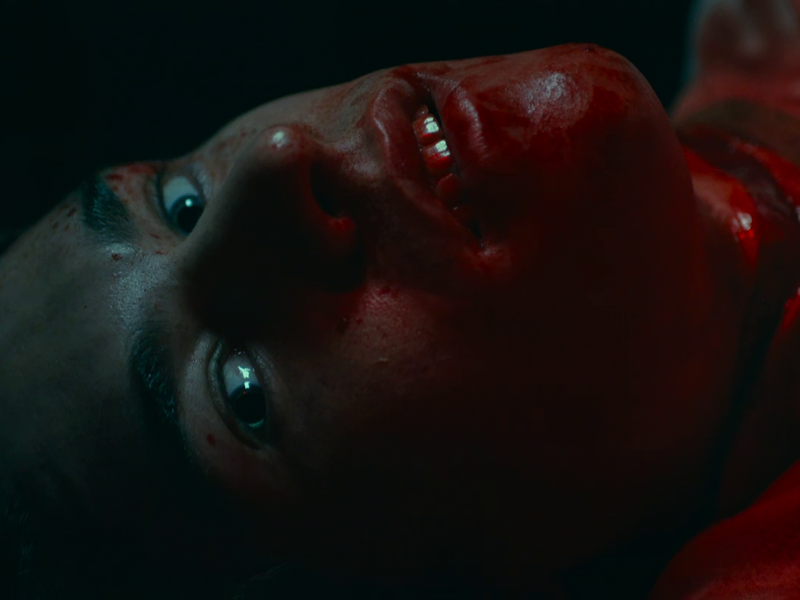 Foto 11 de Natty Knocks