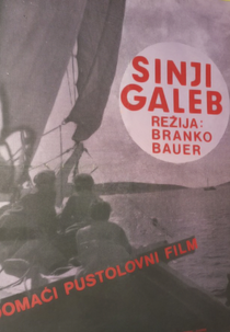 Sinji galeb (Sinji galeb)