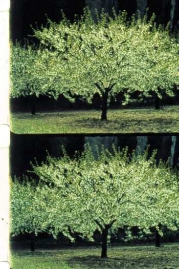 Poster de Curta Quiproquo (1992)