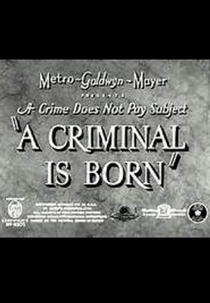 A Criminal is Born (A Criminal is Born)