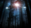 The Picco Incident