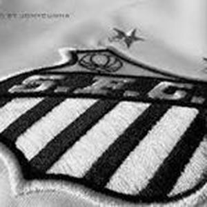 Foto de perfil de Kevin