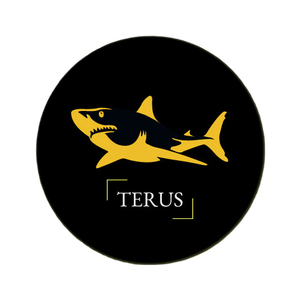 Foto de perfil de Terus Technology