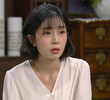 43회