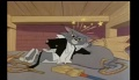 Tom and Jerry - Figaro
