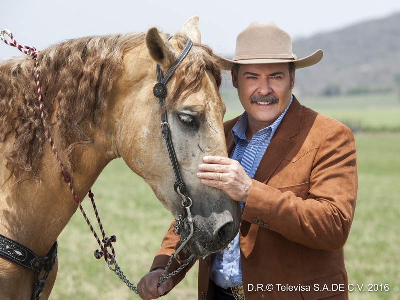 Foto 29 de Las Amazonas