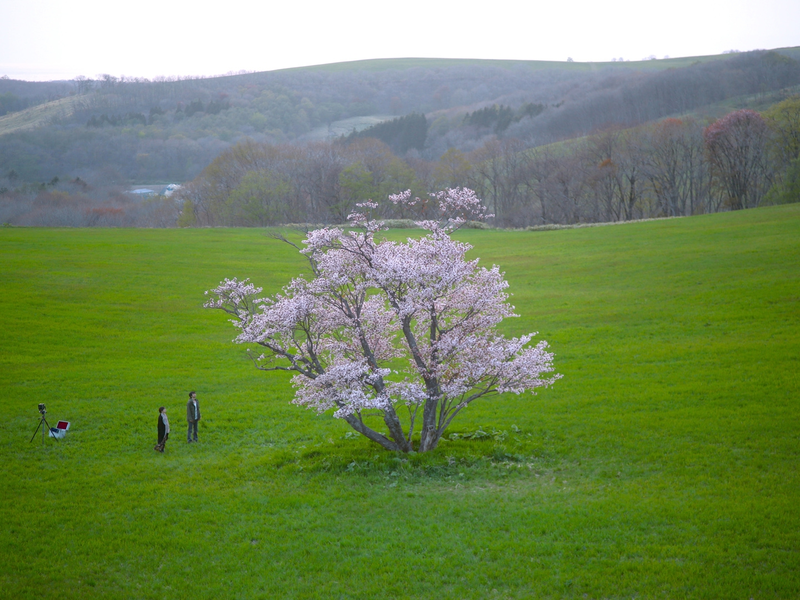 Foto 3 de Mo-Ruerani