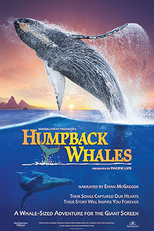 Humpback Whales (Humpback Whales)