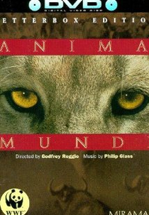 Anima Mundi (Anima Mundi)