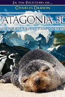 Patagonia 3D - Poster / Capa / Cartaz - Oficial 1