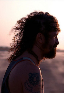 Linz - Quando Todos os Acidentes Acontecem (Linz - Quando Todos os Acidentes Acontecem)