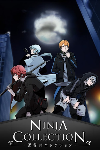 Poster de Série Ninja Collection (2020)