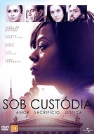 Sob Custódia (Custody)