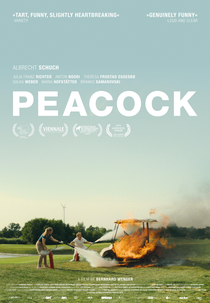 O Pavão (Pfau: Bin ich echt?)