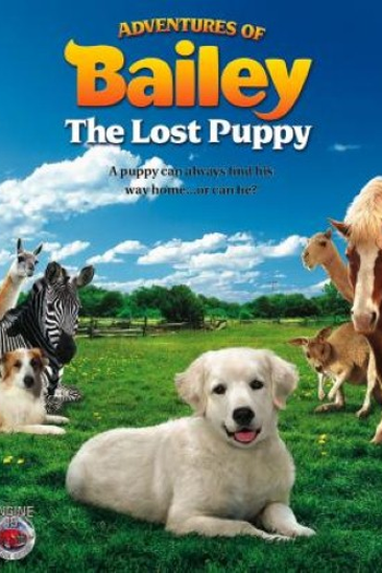 Poster de Filme As Aventuras de Bailey (2010)