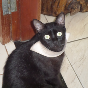 Foto de perfil de Anderson